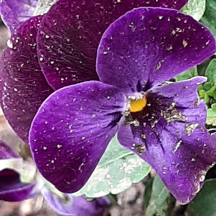 merveille du monde