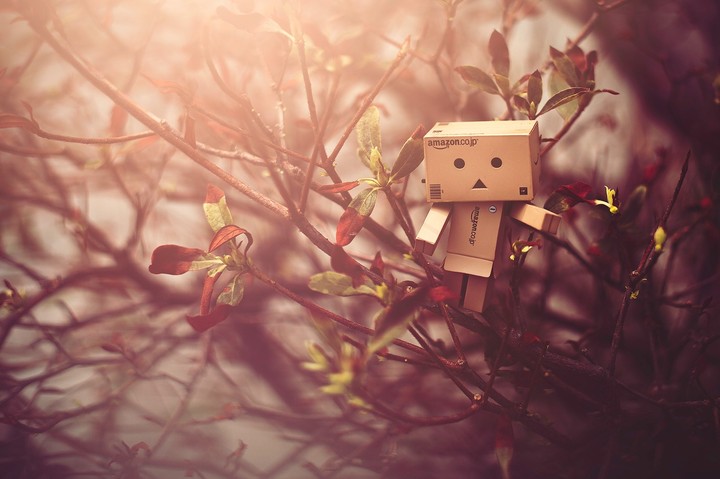 Danbo