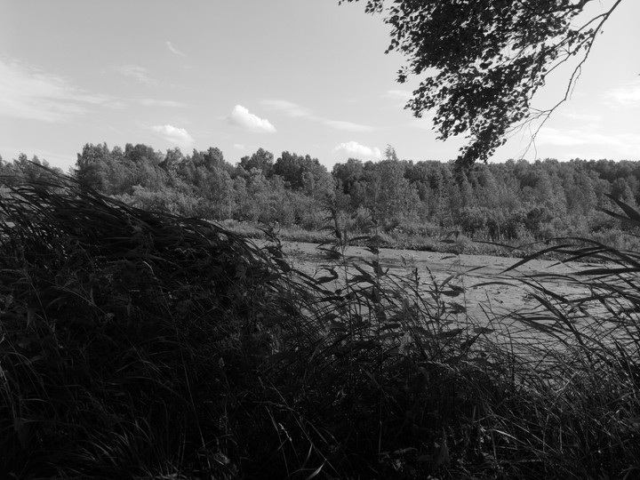 2345u8909854