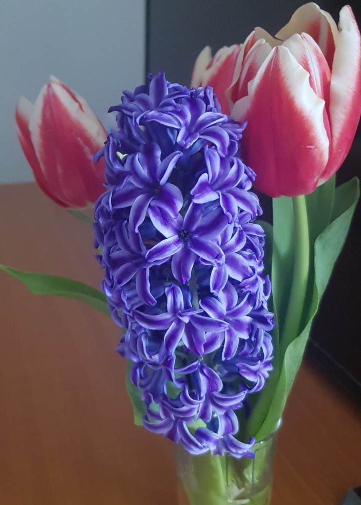 spring flowers