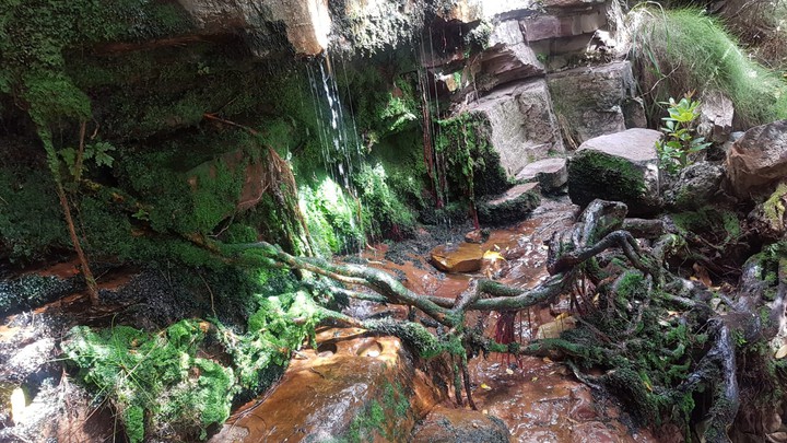 Platteklip Gorge Hiking Trail