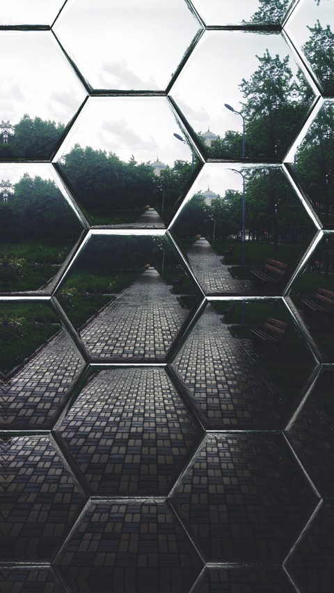 Through The Glass