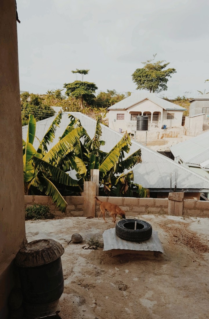 Africa