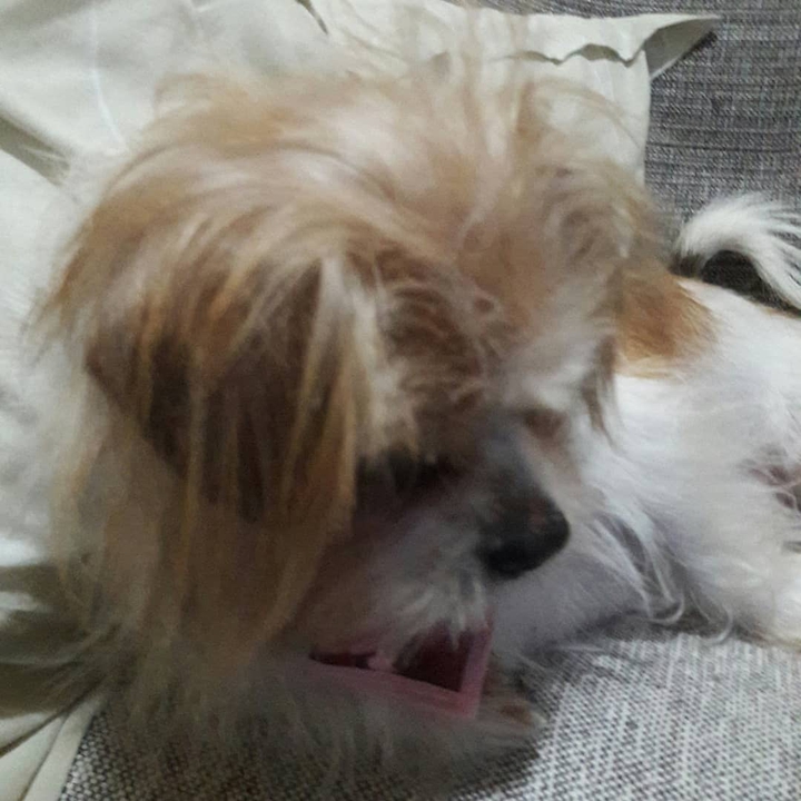 cacau ❤?