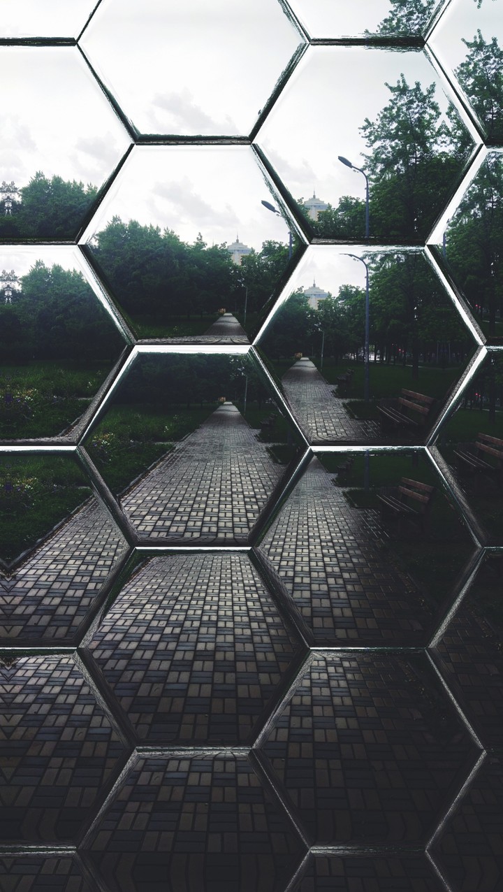 Through The Glass