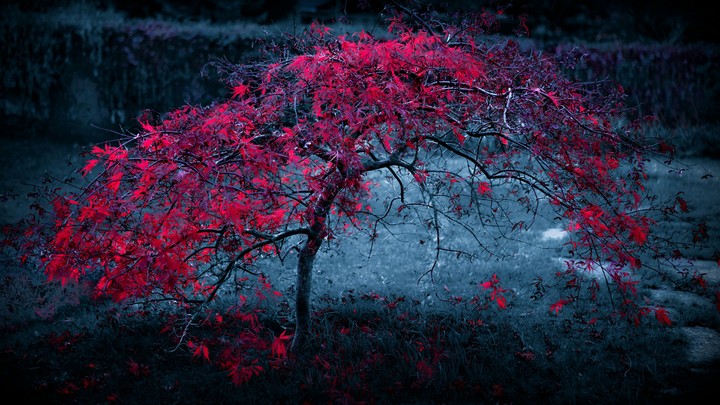 Beatifull 