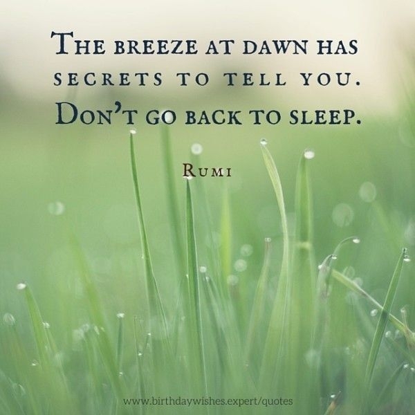 Rumi