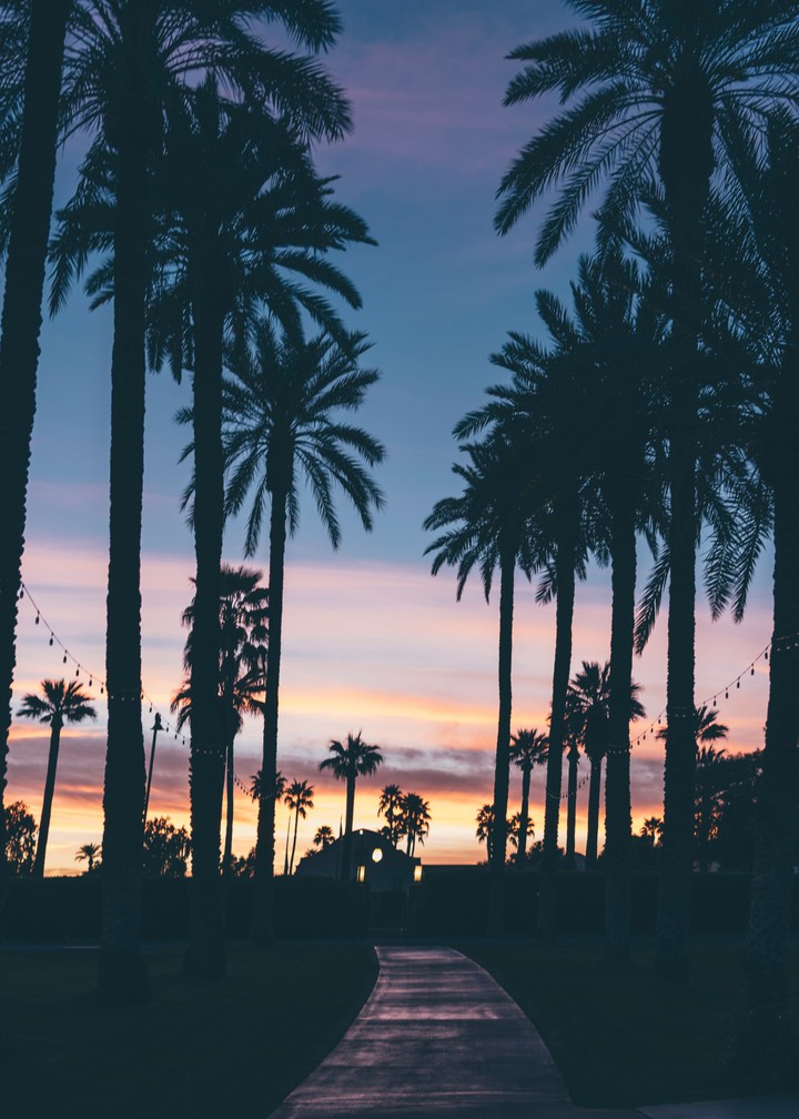 sunset in the beach