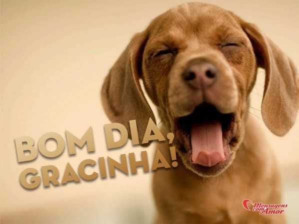 Para todos vocês amigos queridos.
