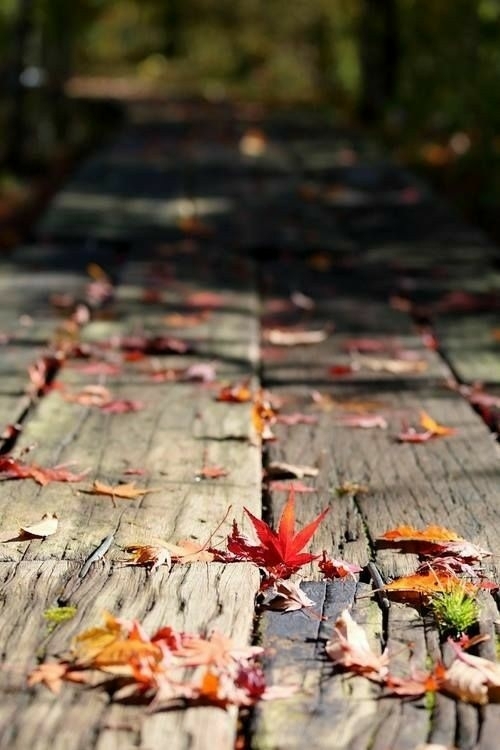 Autumn
