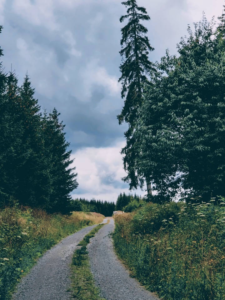 Path