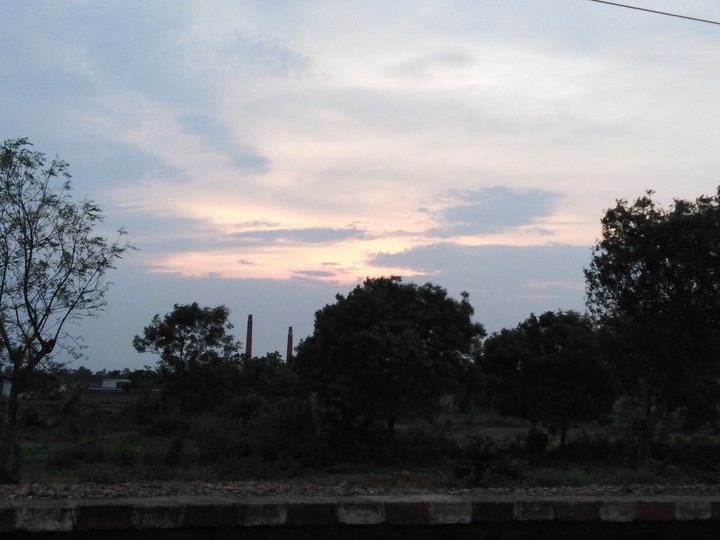 Nature