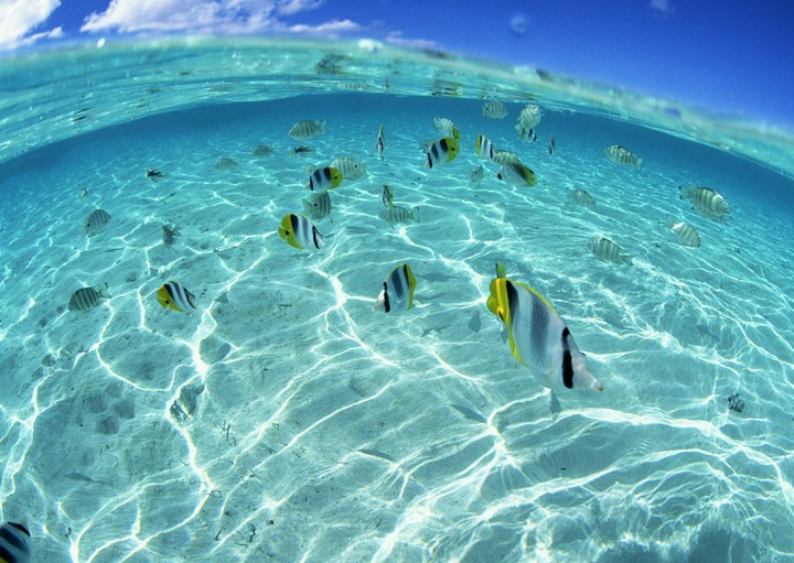 Beach I Fish