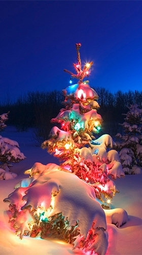 Christmas tree