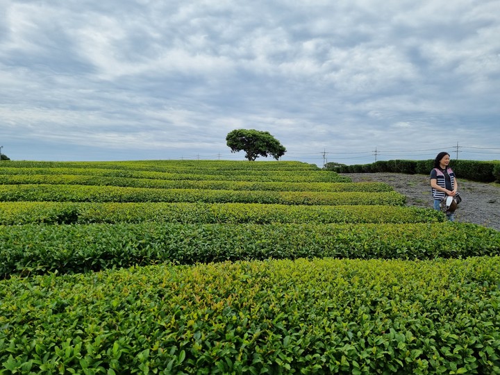 풍경