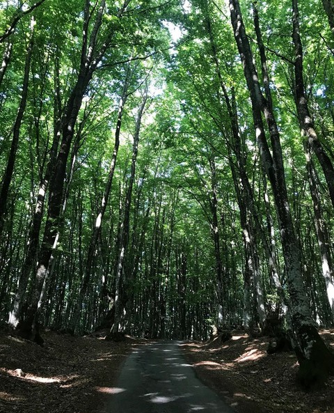 heaven on earth (in summer)