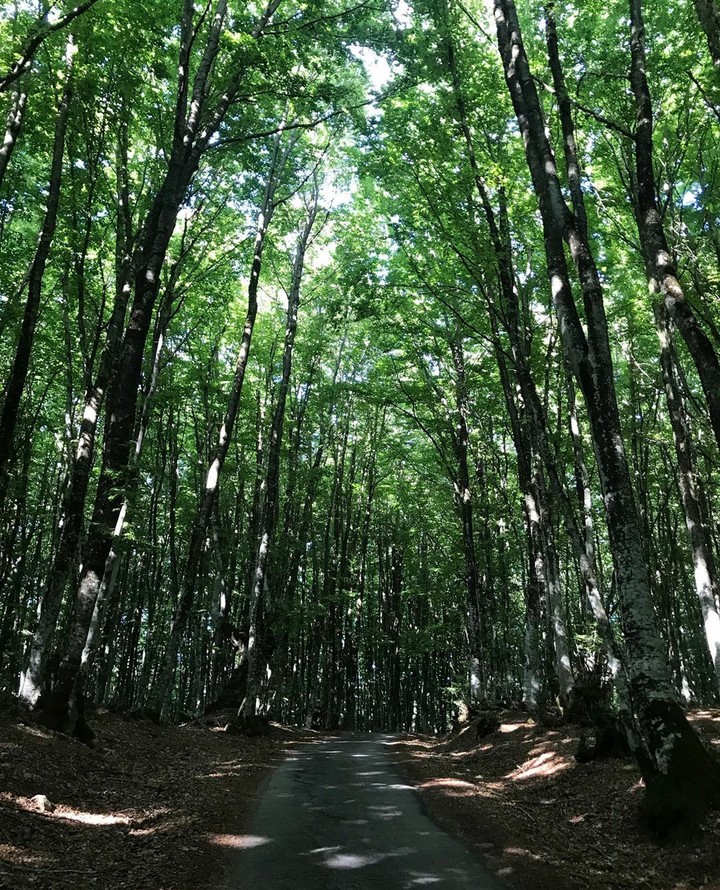 heaven on earth (in summer)
