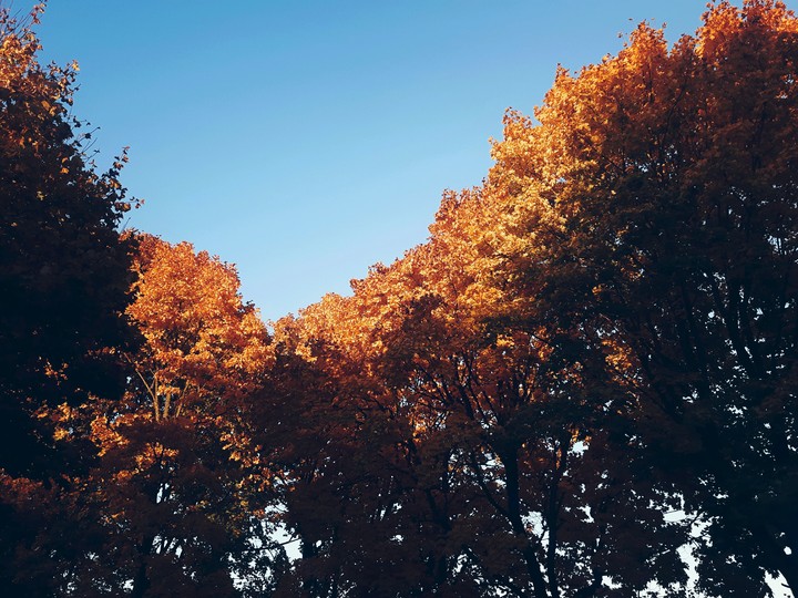 Autumn