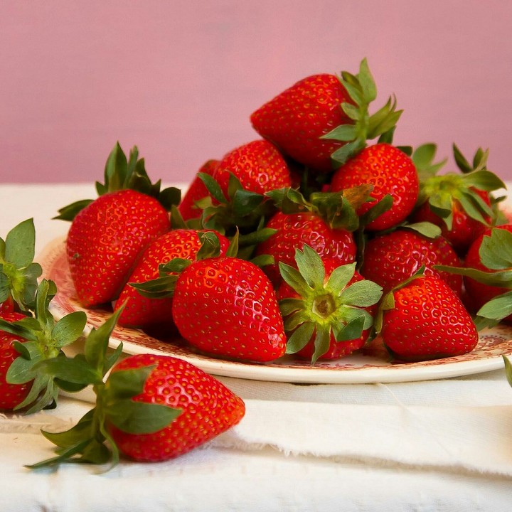 Fruit