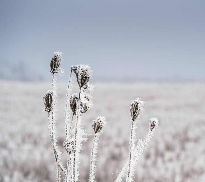 winter