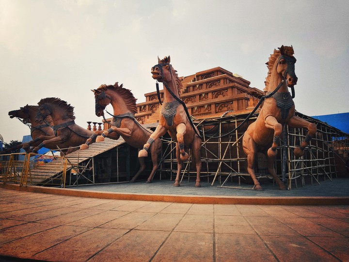 Horses