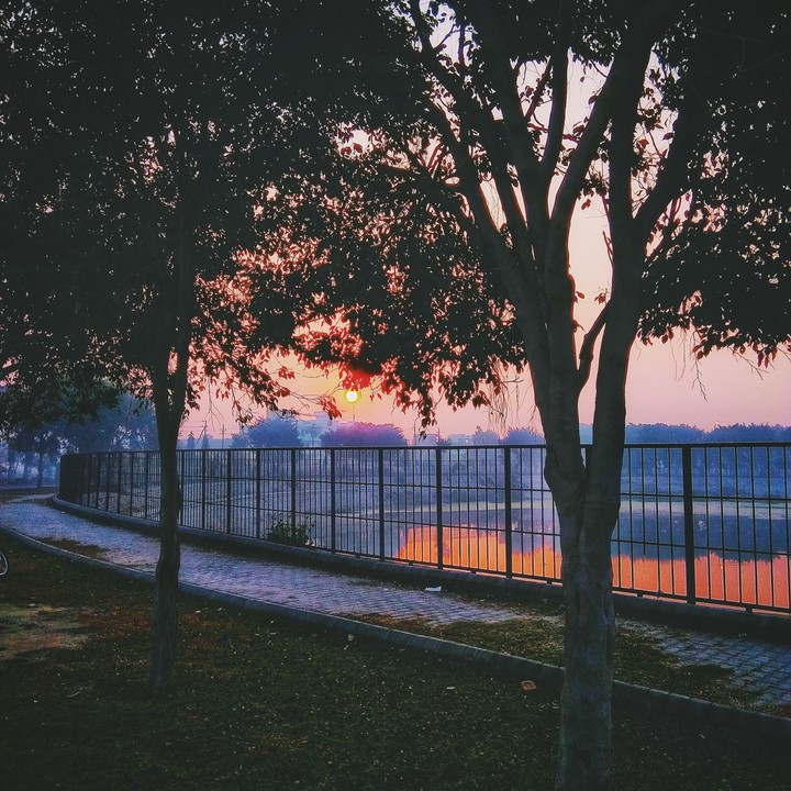 sunrise