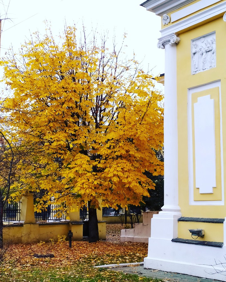 золотая середина