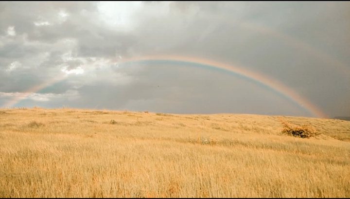 Rainbow?