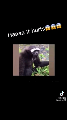 ??
