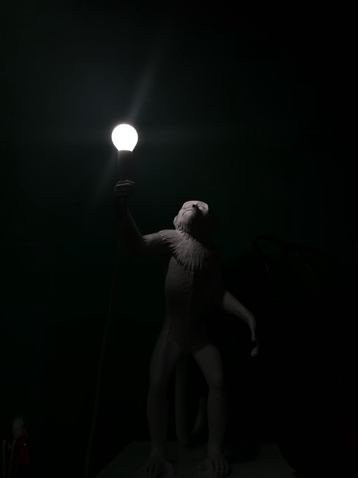 monkey lamp