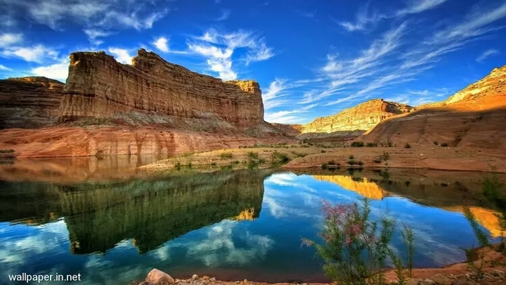 Nature