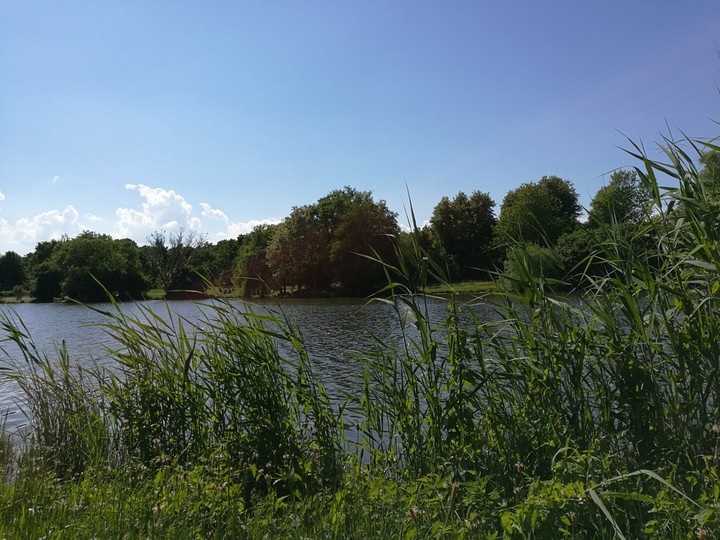 Tag am See