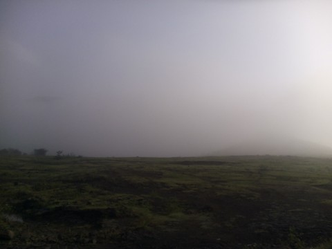 tapety grassland, haze