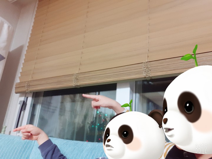 저길봐라 판다들이여