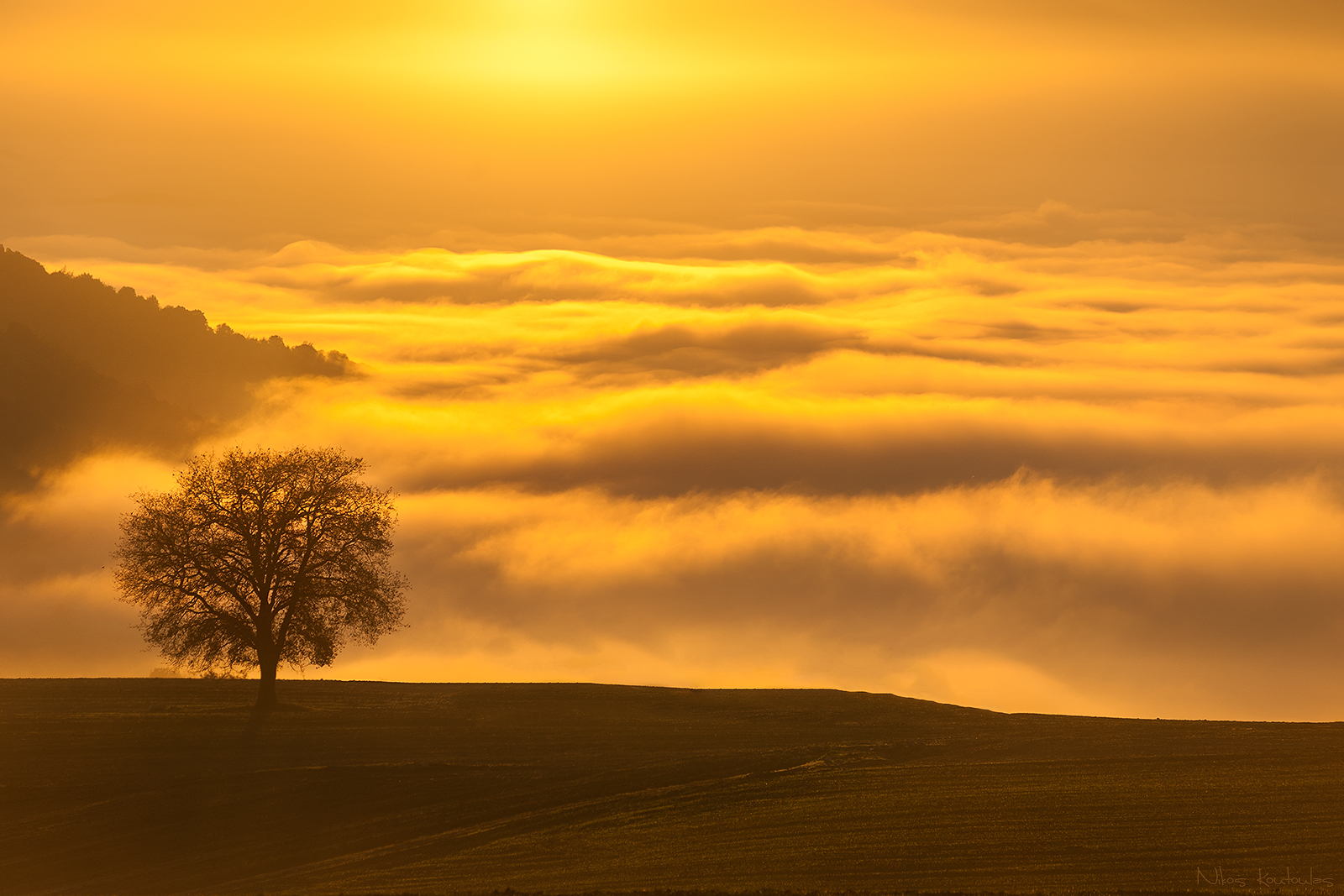 Golden Tree