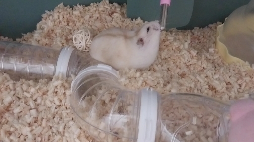 ㅈㄱㄷㄱ