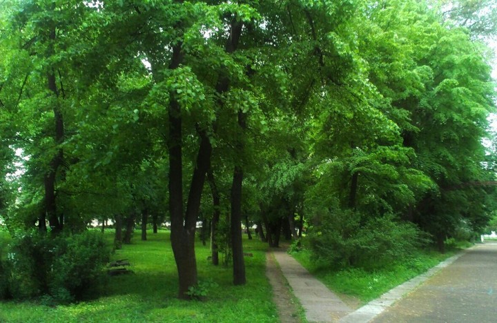 square