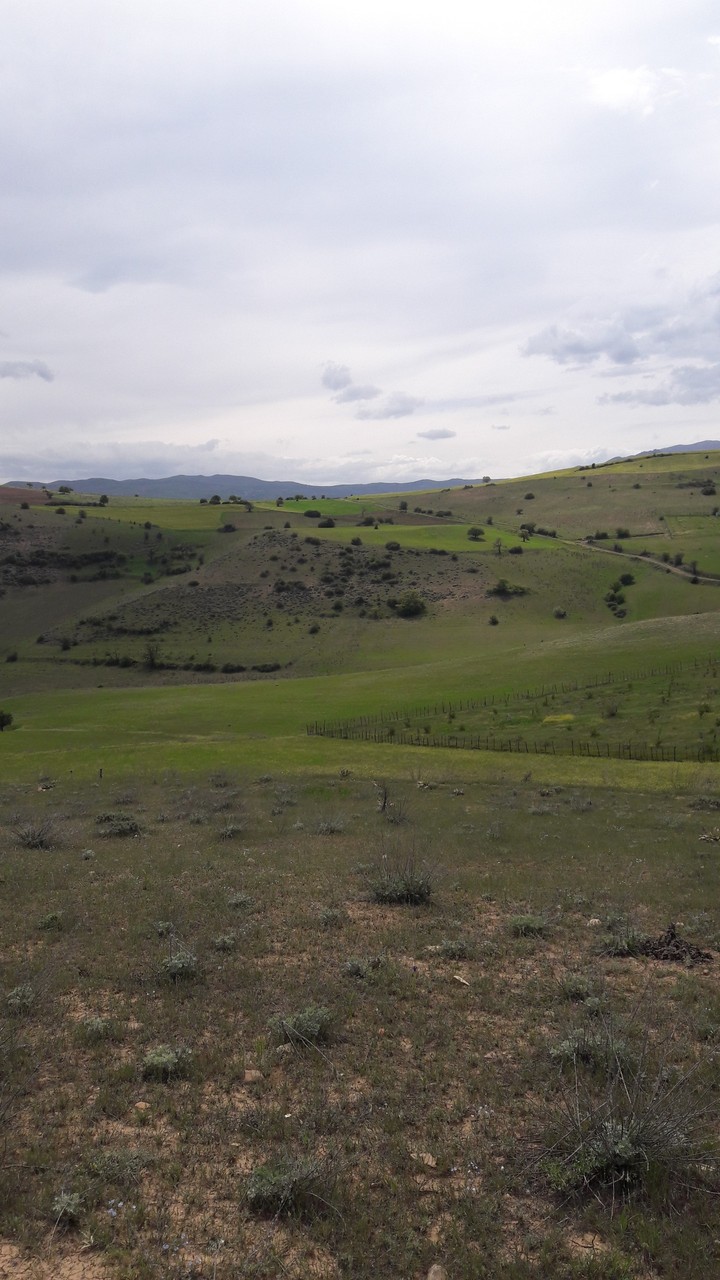 deylaman iran