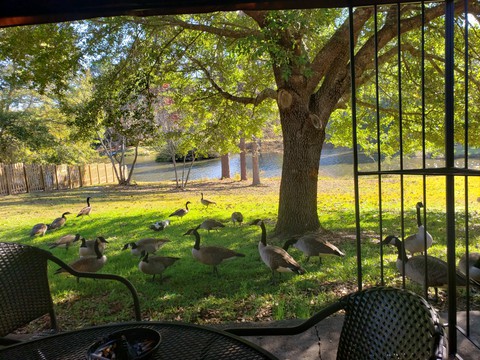 Tranquility