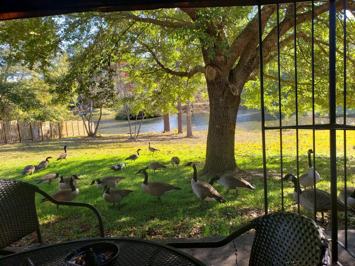 Tranquility