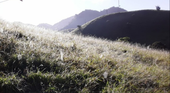 manhã gelada