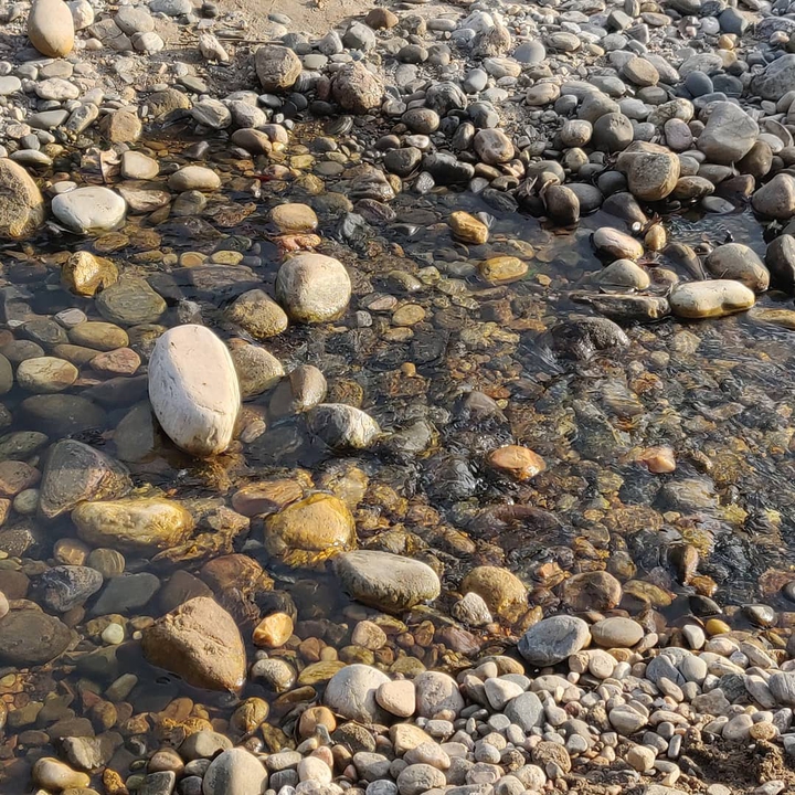 pathway pebbles