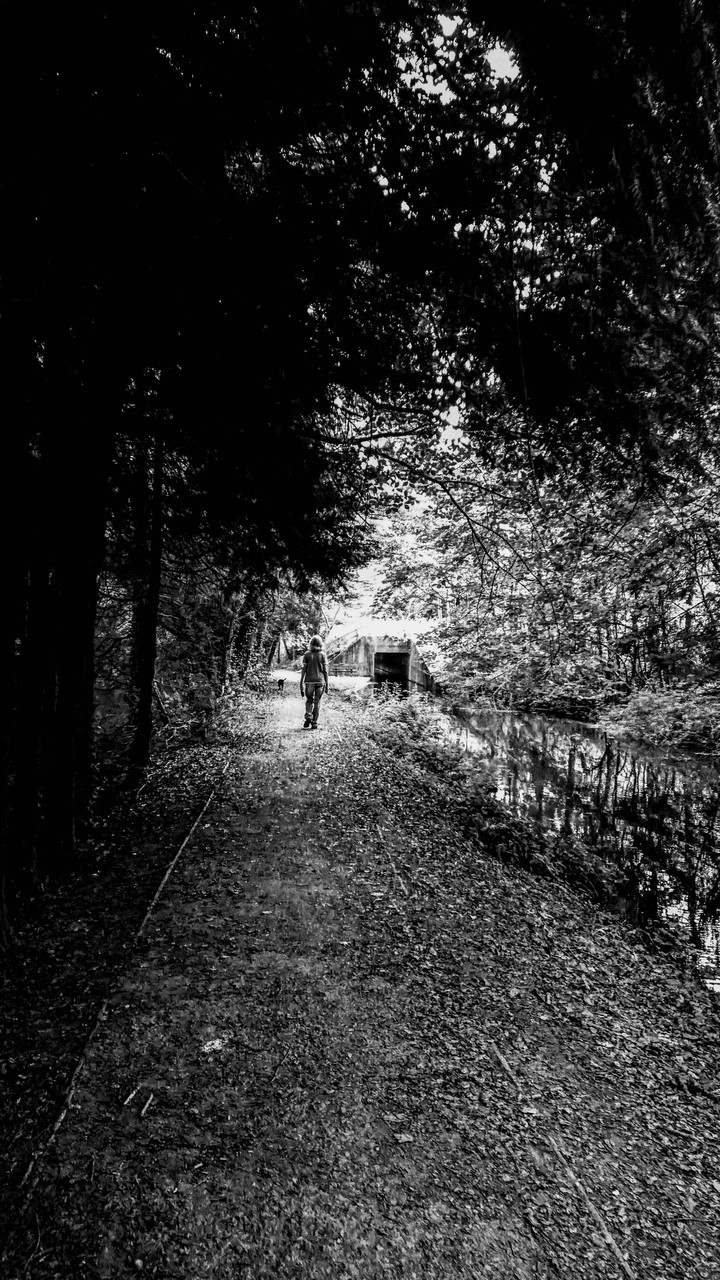 black and white photography