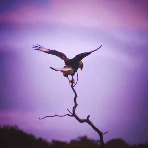 Instagram- @rs_photography_yolo