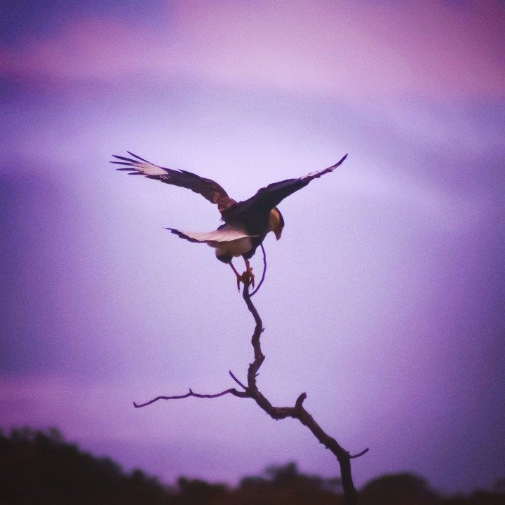 Instagram- @rs_photography_yolo