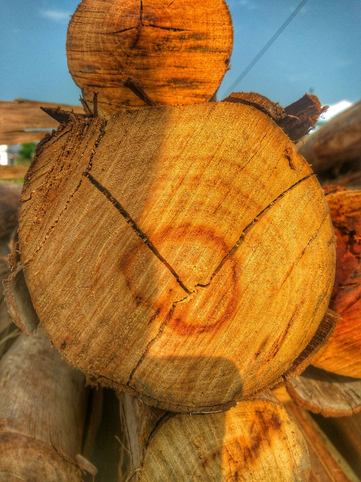 wood