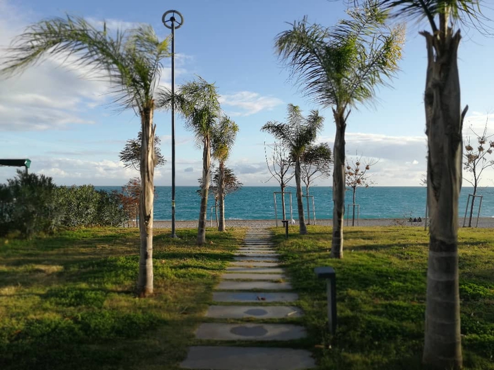 Palm & sea at Antalya