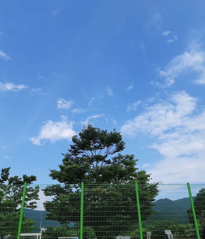 하늘