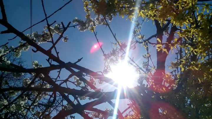 sunshine