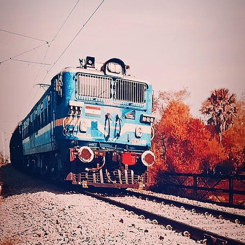 train, plant háttérképek